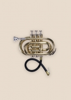 http://pabloga.com/es/files/gimgs/th-32_32_trompeta-inflador.jpg